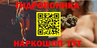 ГАЛЛЮЦИНОГЕННЫЕ ГРИБЫ Можга