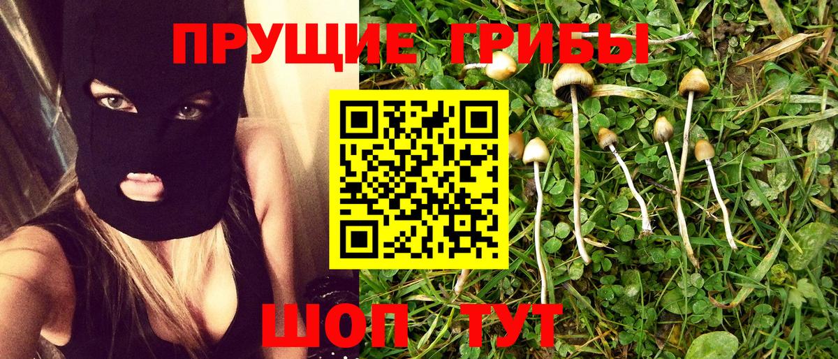 Соликамск  Галлюциногенные грибы Cubensis  как найти закладки  Вход с VPN 